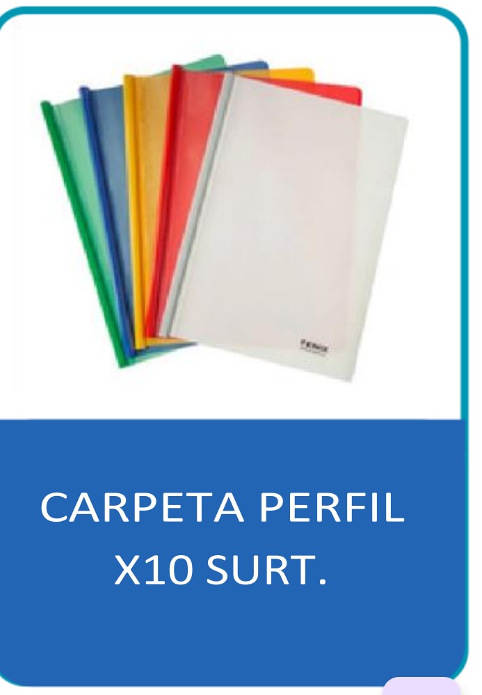 CARPETA DE PERFIL A4 PQX10 BX1000