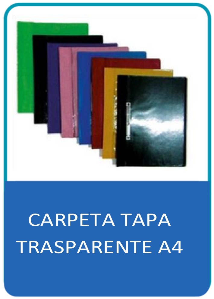 CARPETA TAPA TRANSPARENTE A4 PQX10 BX200