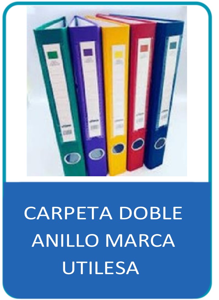CARPETA DOBLE ANILLO A4 PQX6 BX60